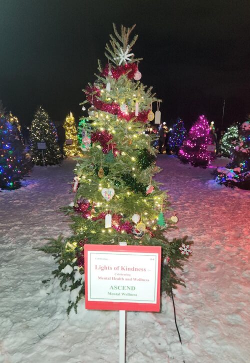 595124251_1362070509235968_6871349788697650461_n